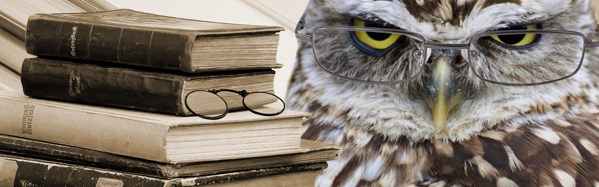 Uil-mediation reglement