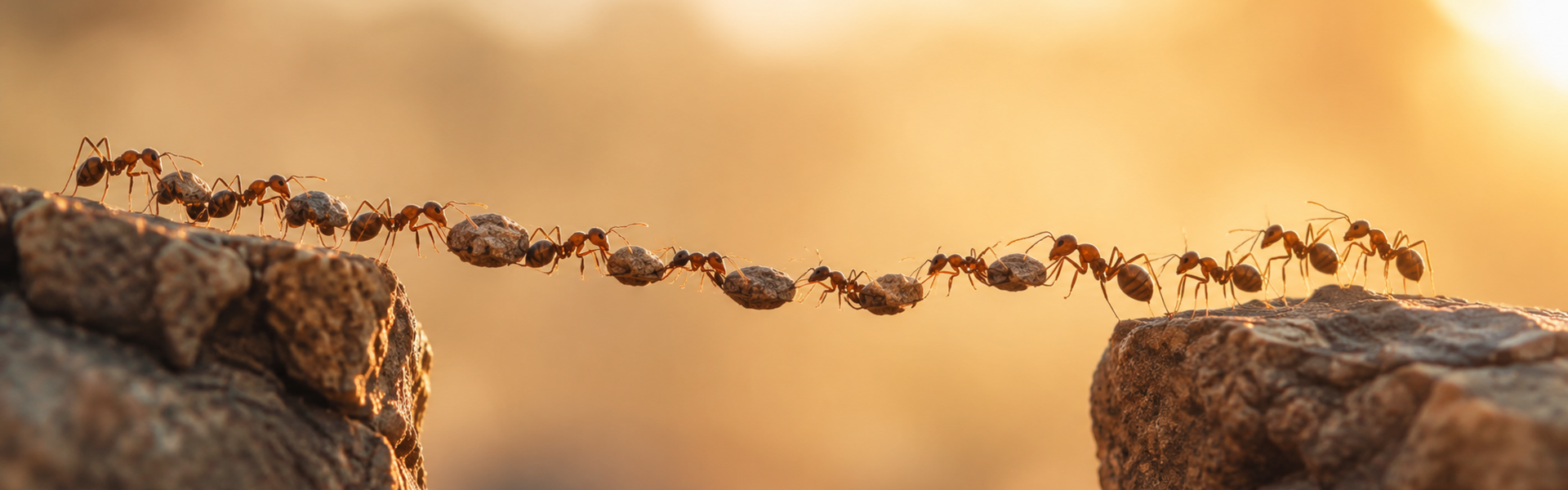 Inspiratiebeeld bruggenbouwers - waarom mediation werkt