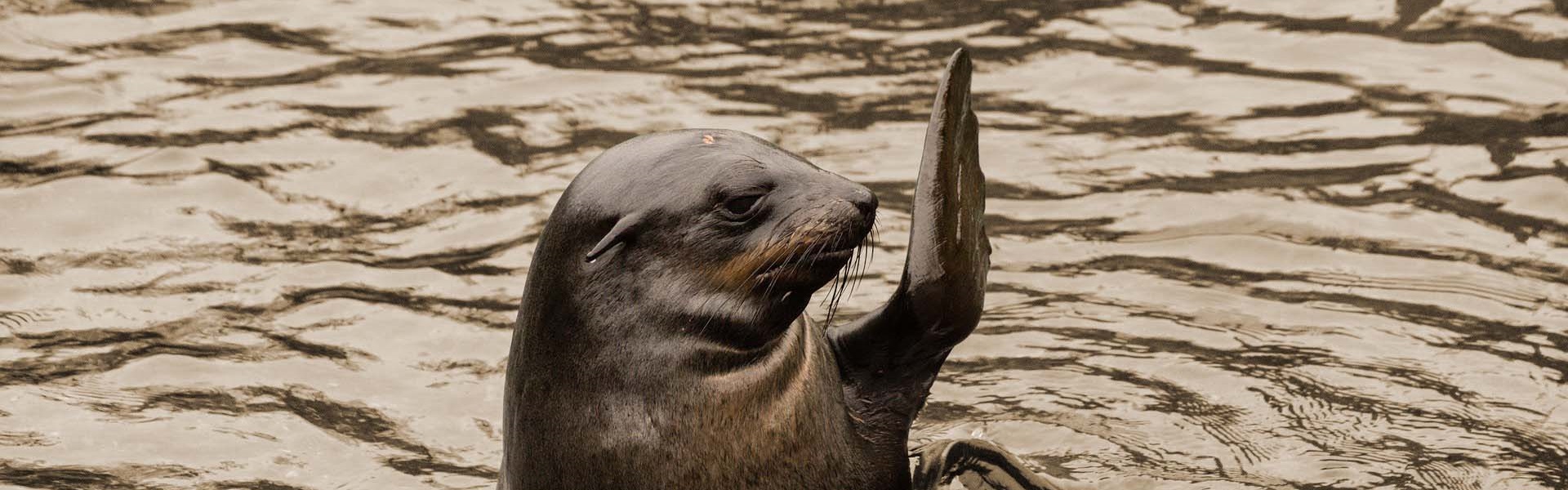 De Arbeidsmediators - Introductie