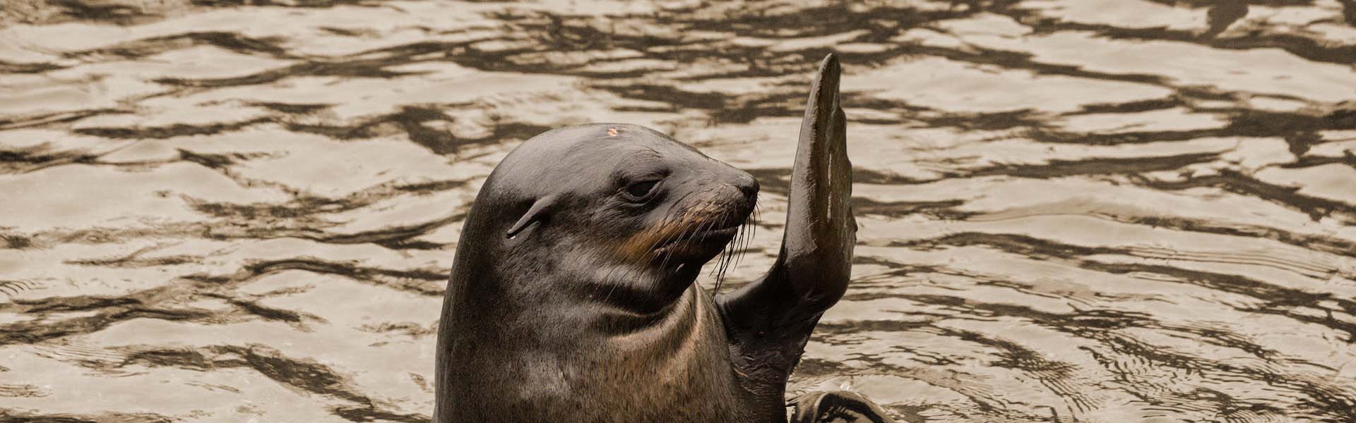 De Arbeidsmediators - Introductie