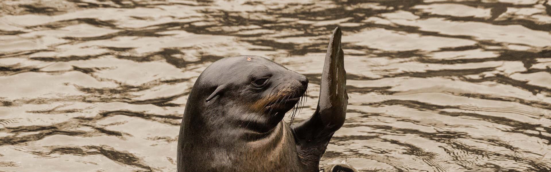 De Arbeidsmediators - Introductie