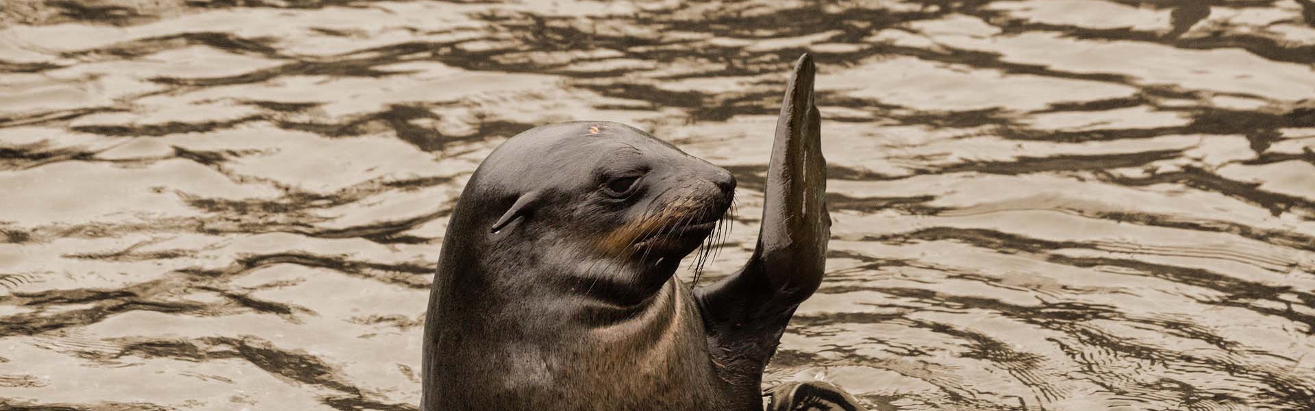 De Arbeidsmediators - Introductie