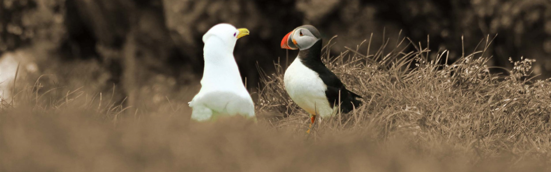 Het voeren van het goede gesprek