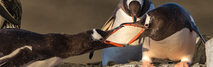 Mediation arbeidsconflict - sfeerbeeld