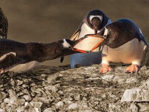 Sfeerbeeld - Conflict op de werkvloer