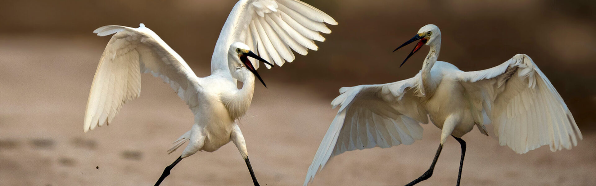Verstoorde Arbeidsrelatie sfeerfoto