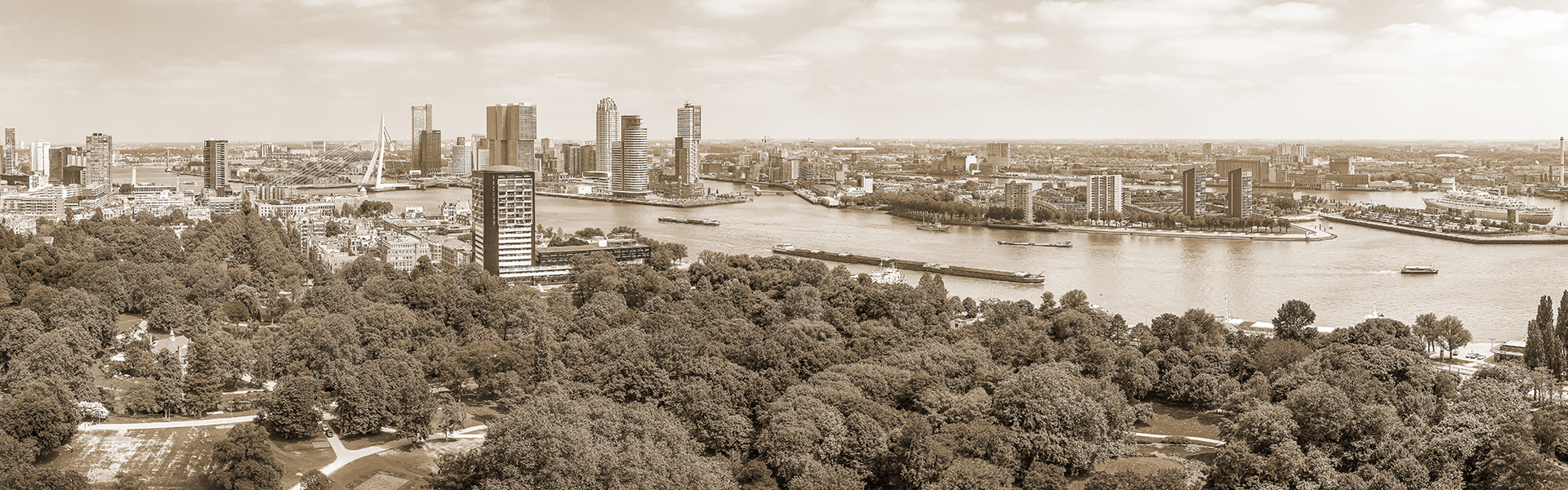 Skyline Rotterdam - work with a view