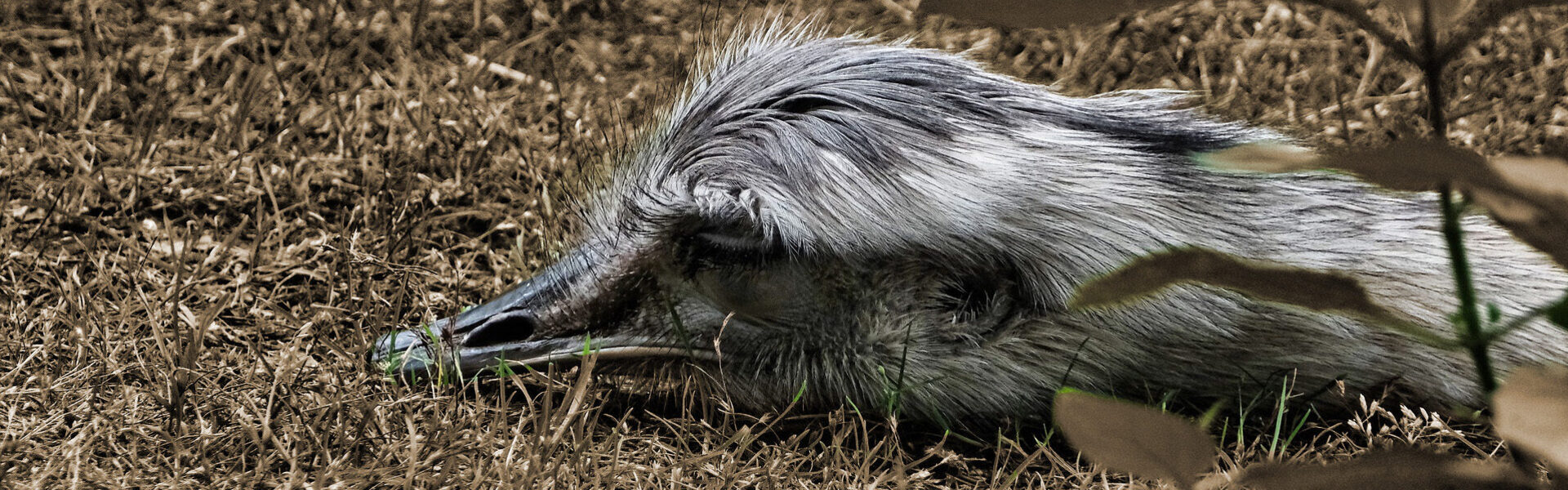 Overspannen - metafoor