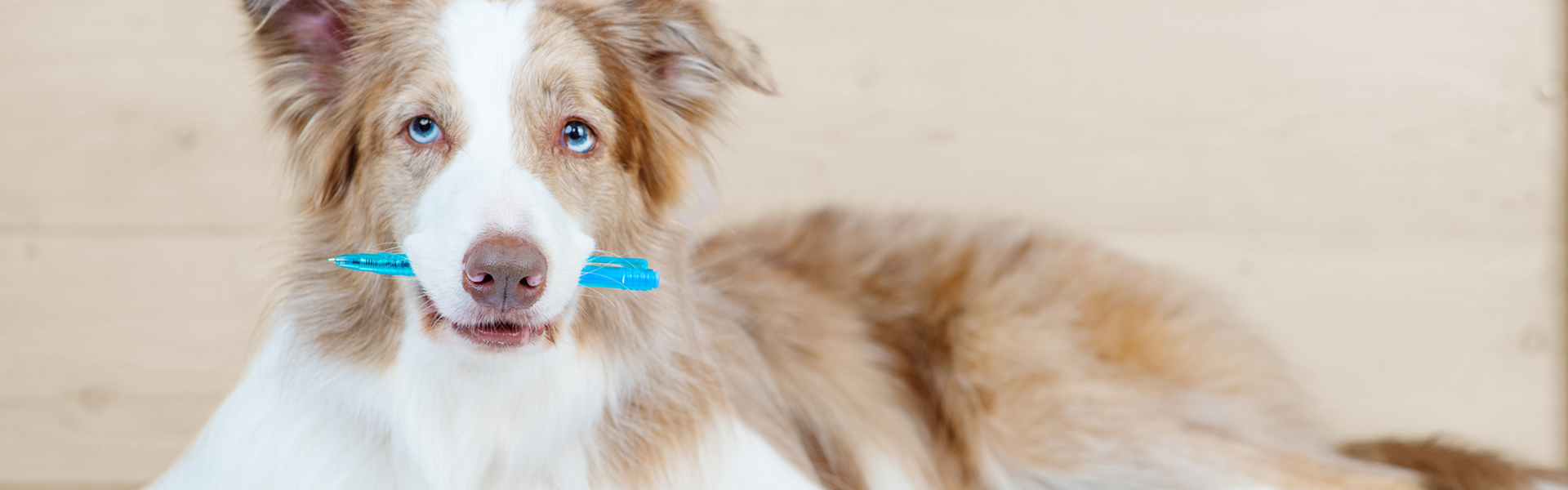 Vaststellingsovereenkomst bij mediation - metafoor