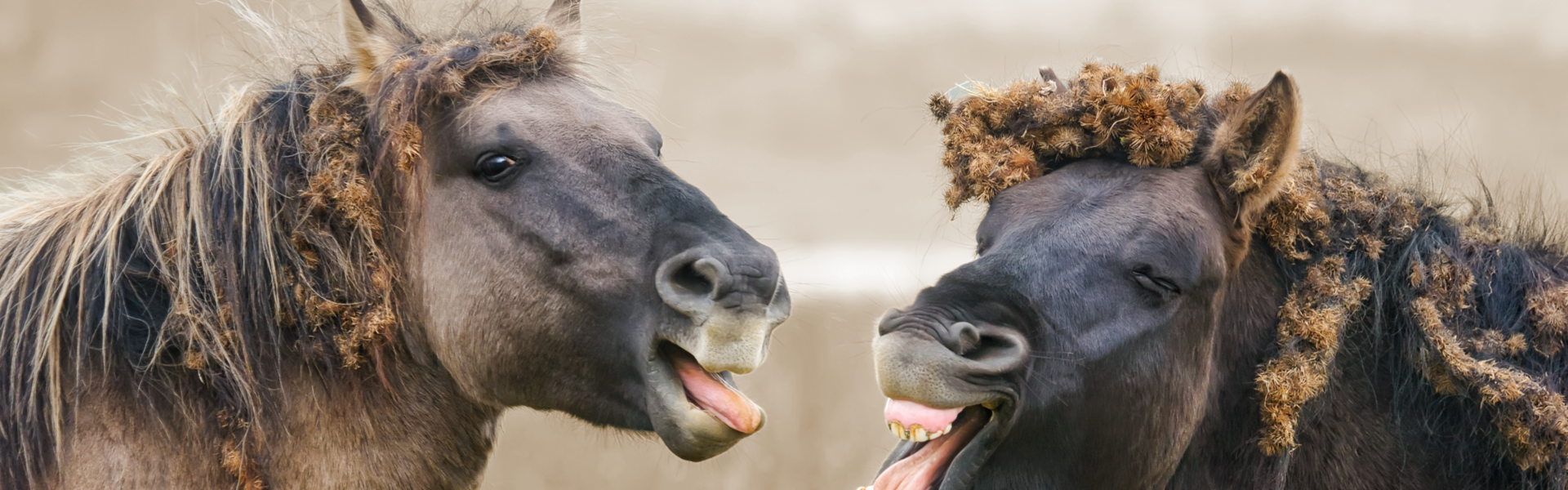 In gesprek blijven - metafoor De arbeidsmediators