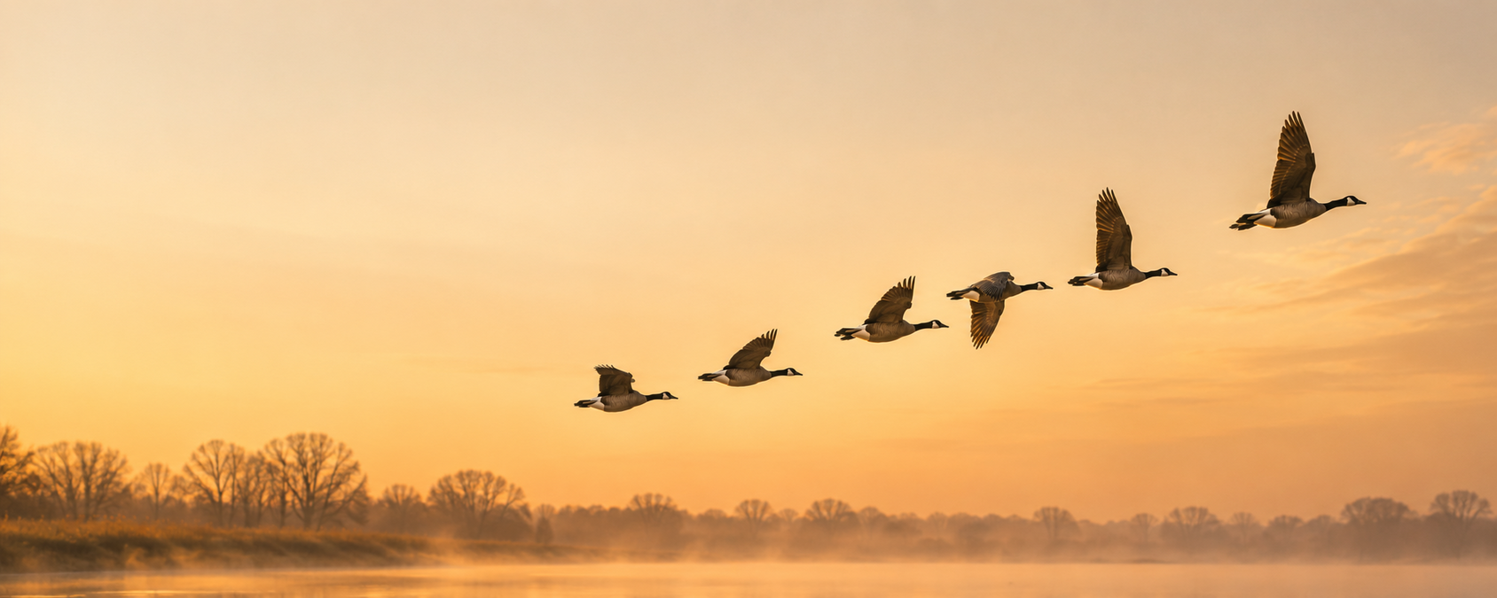 Inspiratiebeeld samenwerken De Arbeidsmediators