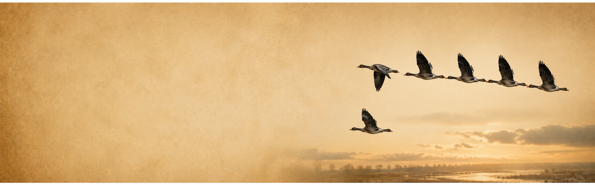 Inspiratiebeeld teammediation - de arbeidsmediators