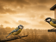 Inspiratiebeeld conflict met werkgever